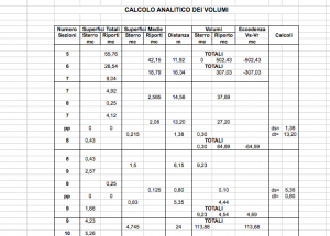 calcolo analitico volumi professore fabrizio martini